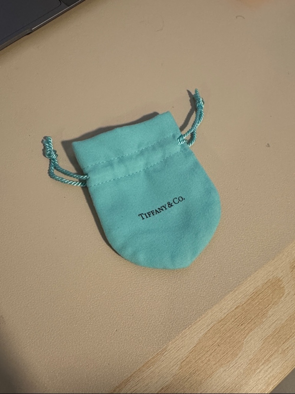Tiffany & Co. Robin's Egg Blue Velvet Drawstring Pouch